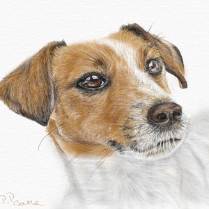 jack russell shop