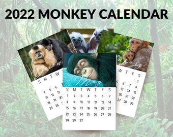 Monkey Calendar | Etsy