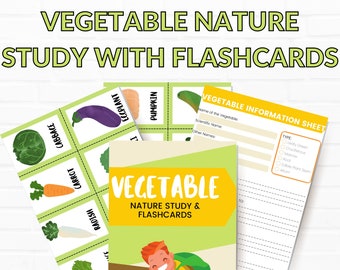 Vegetable Study Unit, Vegetable Flash Cards, Vegetable Study Unit, Instant Digital Download