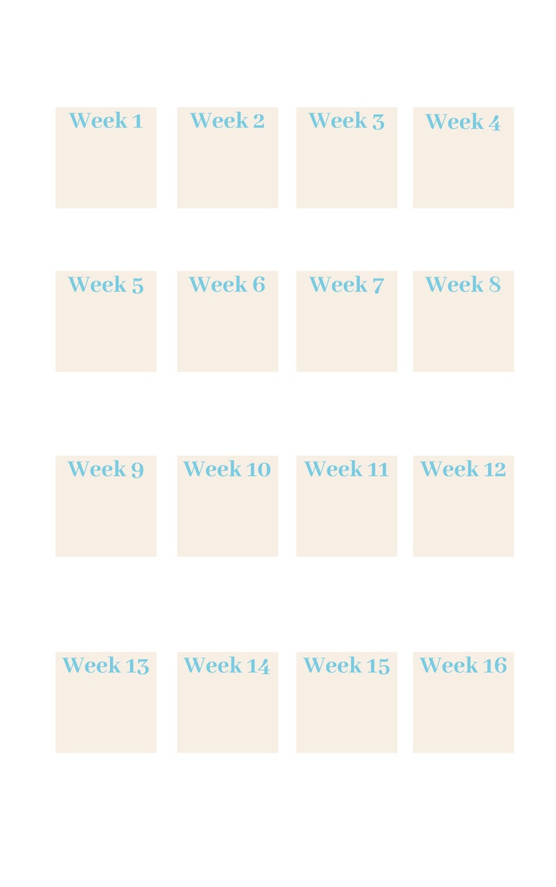 Printable Weight Watchers Weight Loss Charts and Goal Trackers Journal image 7