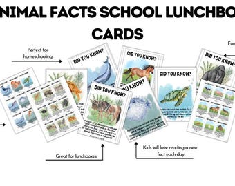 Animal Facts School Lunchbox Cards