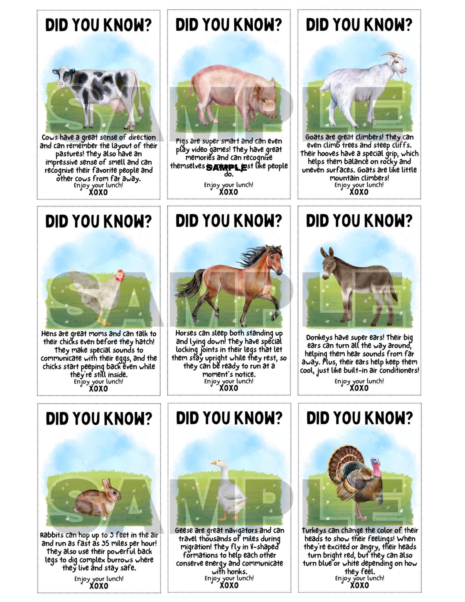 Animal intelligence overview