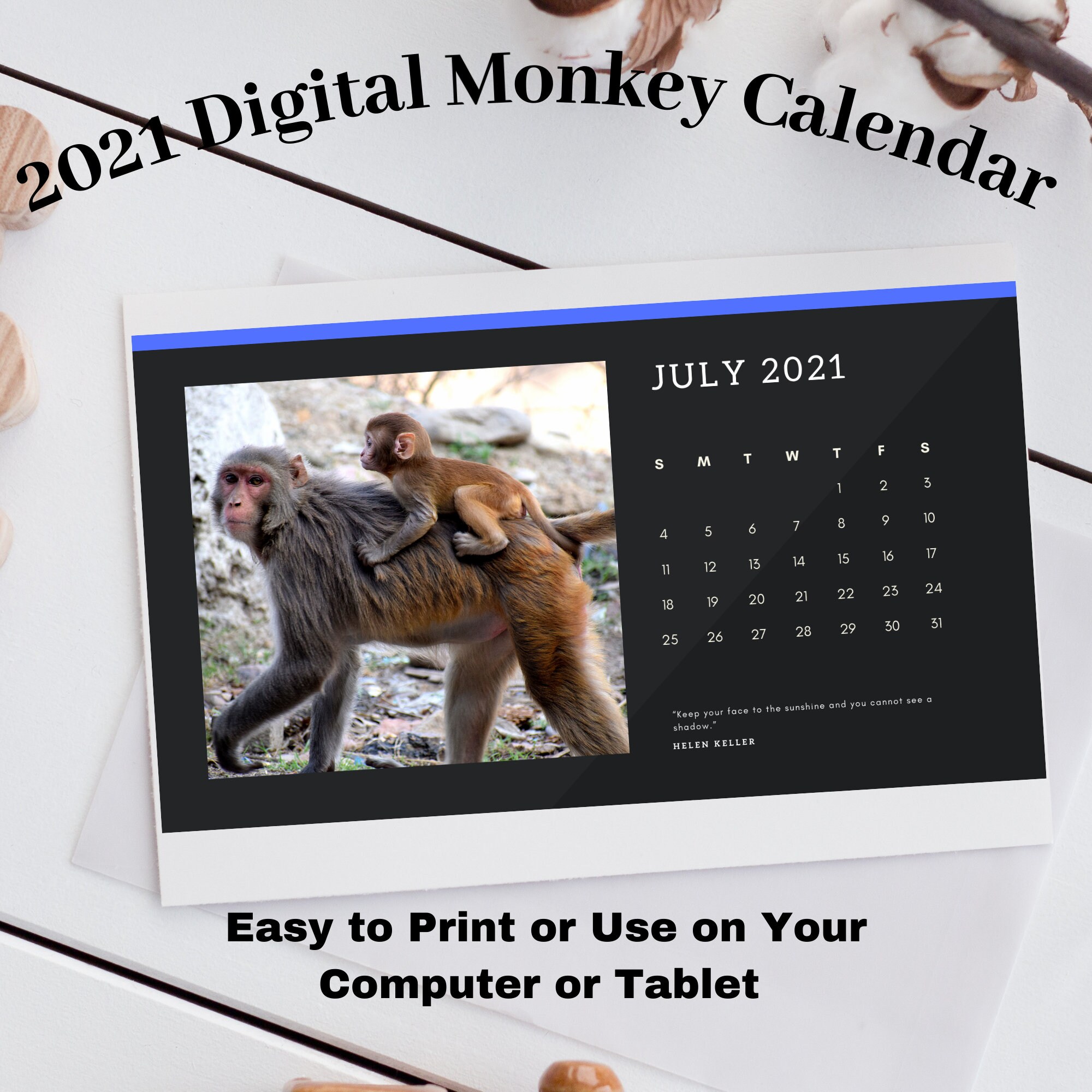 2021 Digital Monkey Calendar Printable Monkey Calendar Etsy 2021 Digital Monkey Calendar Printable Monkey Calendar Etsy