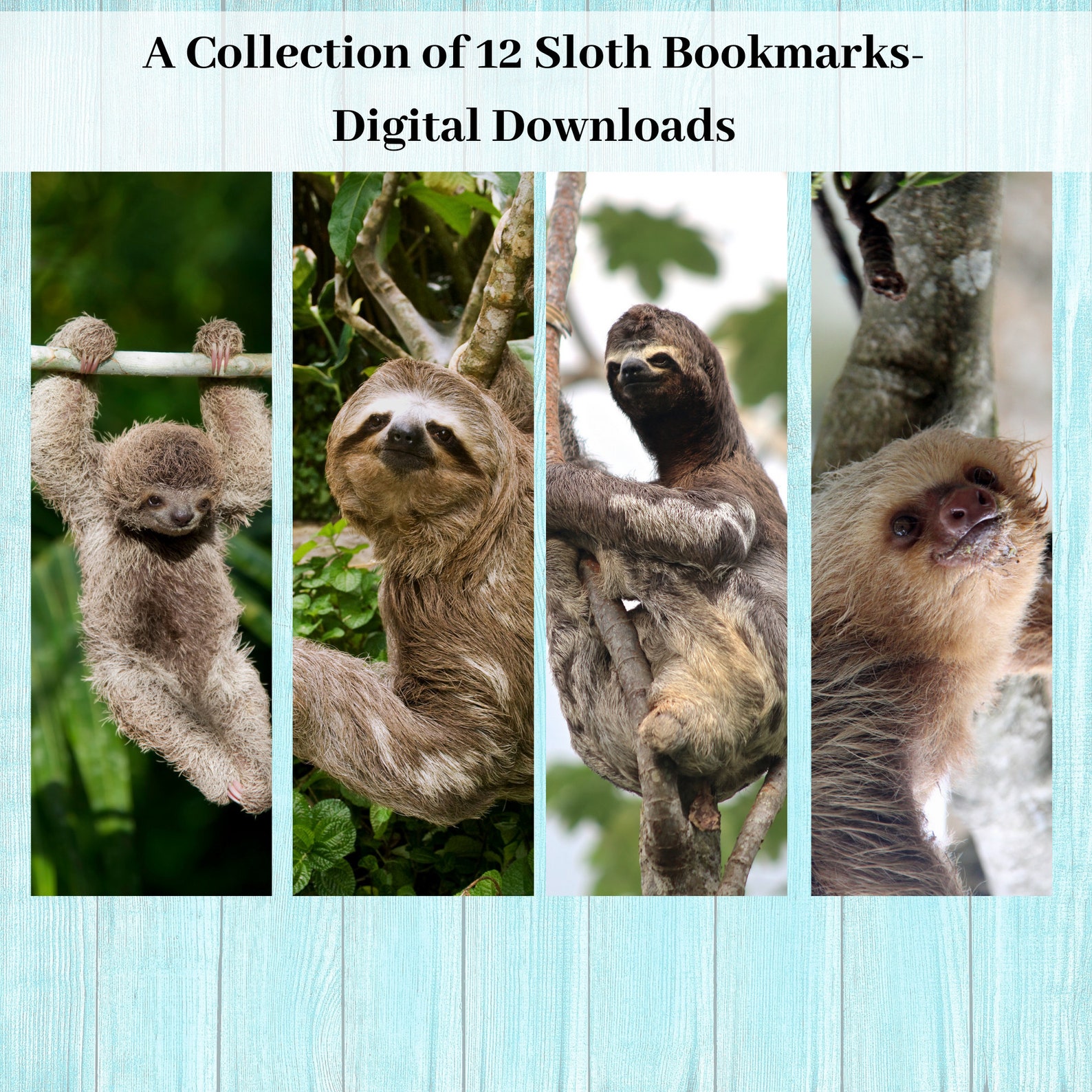 Printable Sloth Bookmarks, Set of 12, Printable Bookmarks, Baby Sloth