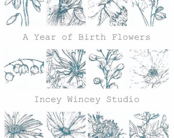 Set di dodici carte di fiori di nascita, carte di fiori di nascita stampate a mano, set di carte di fiori botanici, dodici biglietti di compleanno floreali