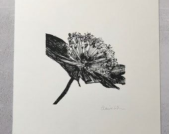 Astrantia Original Screen Print