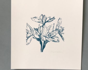 Paperwhite Narcissus Original Screen Print, December Birth Flower, December Birthday Gift