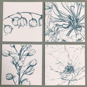 May include: Set of four cards featuring blue ink illustrations of different flowers on a white background. The flowers include lily of the valley, honeysuckle, delphinium, and a poppy.