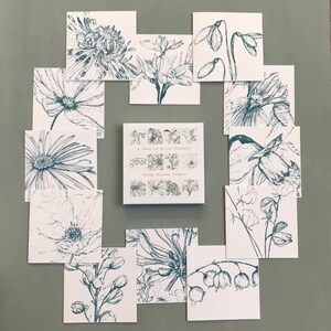 May include: A set of 12 cards featuring a different birth flower for each month of the year. The cards are white with blue ink illustrations of the flowers. The cards are arranged in a circle around a small box that says "A Year of Birth Flowers" and "Incey Wincey Studio".