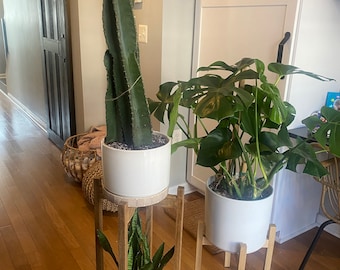Multi Tiered Plant Stand
