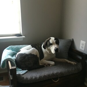 May include: A black and white dog laying on a wooden dog bed with a gray cushion and a blue blanket. The bed has a storage compartment.
