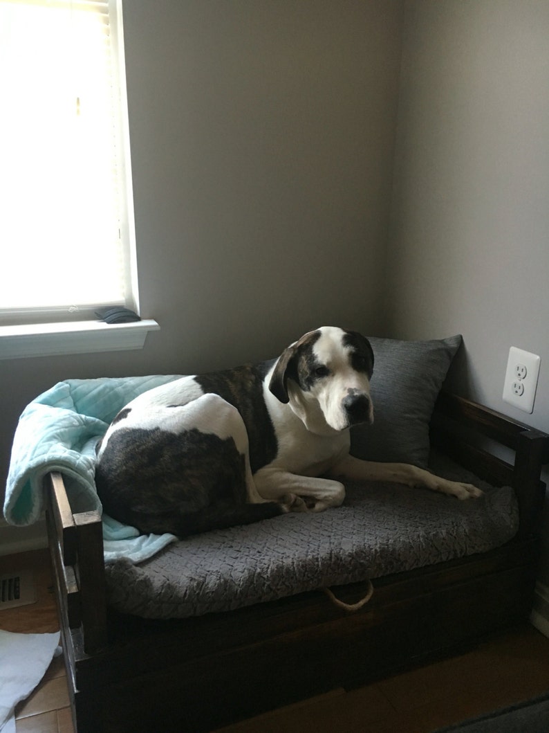 May include: A black and white dog laying on a wooden dog bed with a gray cushion and a blue blanket. The bed has a storage compartment.