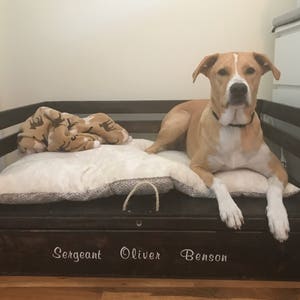 May include: A dark brown wooden dog bed with a white plush cushion and a tan and brown blanket. A light brown dog with white markings is lying on the bed. The bed has a storage drawer with the names "Sergeant Oliver Benson" written on it.