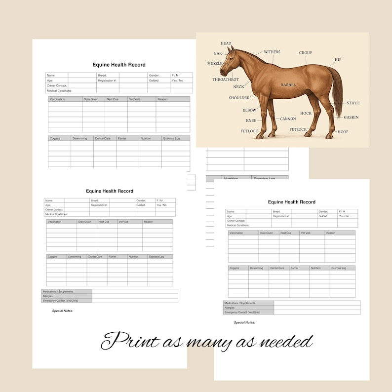 Equine Health Record Log Printable PDF | Horse Care Planner & Wellness ...