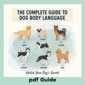 Guide till hundens kroppsspråk i PDF-format, hundträningsbok, e-bok om valpsocialisering, manual för hundkommunikation, digital nedladdning