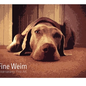 Slumberland - Weimaraner Dog Signed, Limited Edition, Fine Art Photography Print