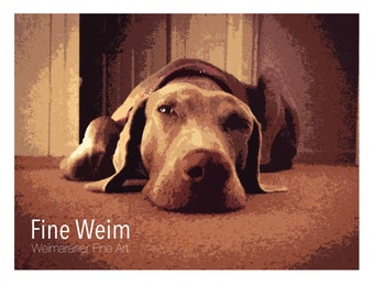 Slumberland - Weimaraner Dog Signed, Limited Edition, Fine Art Photography Print