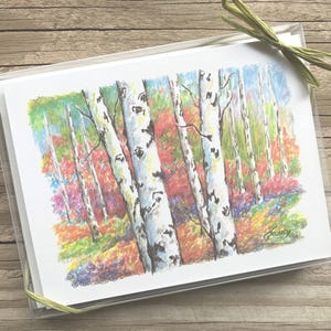 Fall Aspen Forest Note Card Set, Blank Inside, Boxed Set of 6