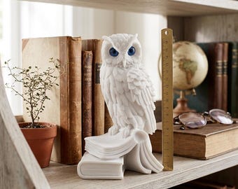 Standbeeld uil van Athena, symbool voor wijsheid en onderwijs, Griekse beeldhouwkunst, vogel op boeken, afstudeercadeau, waardering leraar, bibliotheekdecor