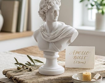 Puede incluir: Busto de mármol blanco de Apolo, de unos 23 cm de altura, con cabello rizado detallado y ropa drapeada. El busto se exhibe sobre una superficie de madera con una pequeña vela, una lupa y una tarjeta manuscrita.