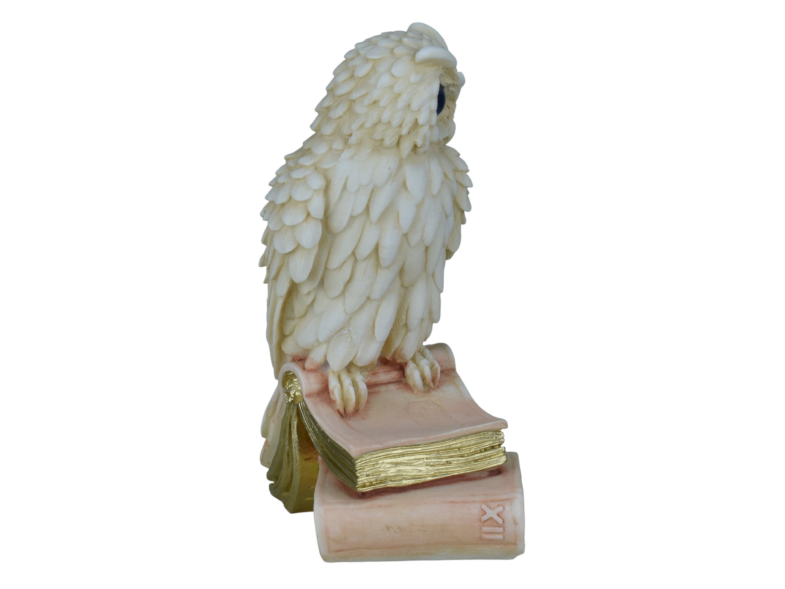Owl of Goddess Athena Symbol of Wisdom and Education Greek