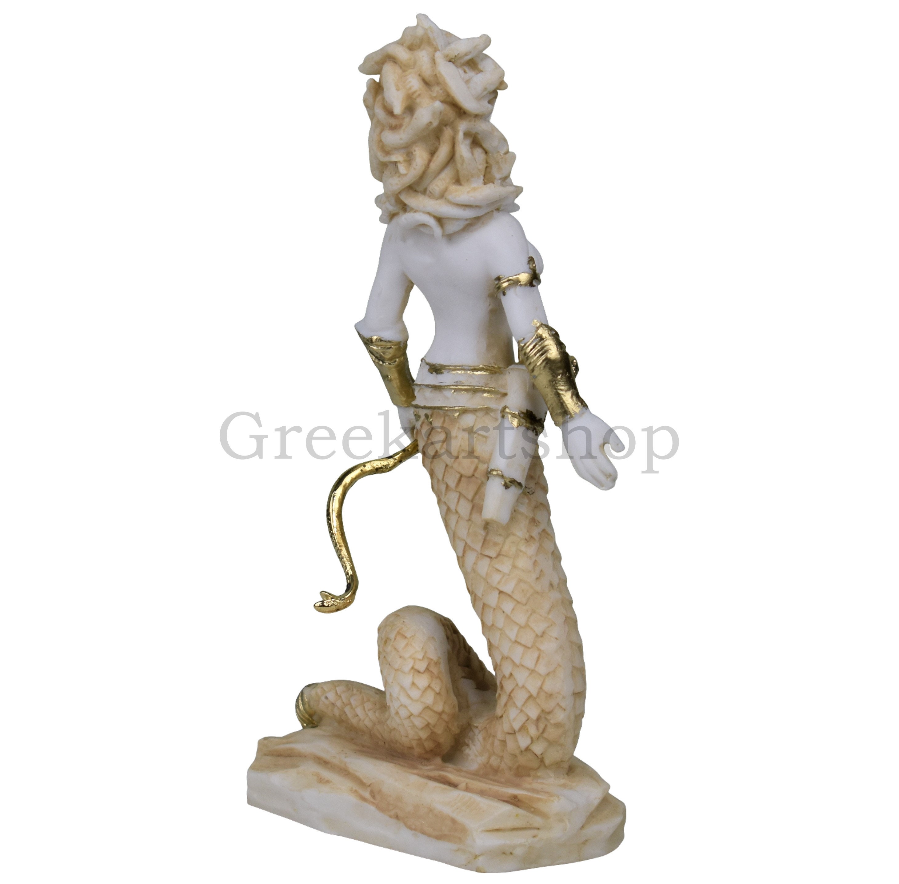 Gorgon Greek Goddess Medusa with Snakes for Hair Design by Gnarly Magnet  for Sale by ChattanoogaTee