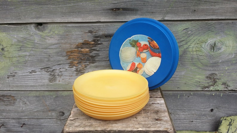 Vintage Picnic Set Serving Dinnerware Plates Plastic Camping Outdoor Camper Dishes