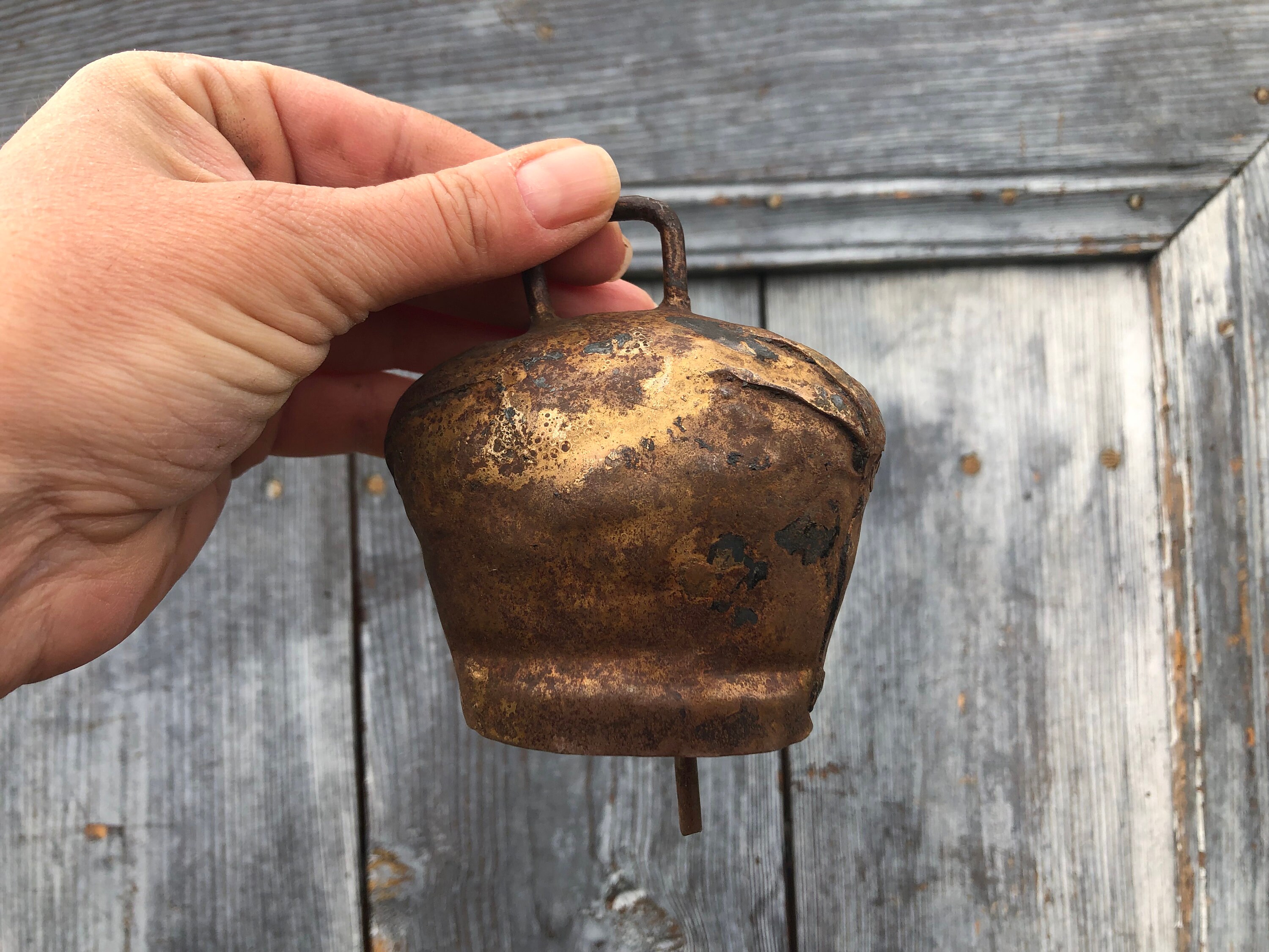 Vintage Cowbell Vintage Bell Unique Sheep Bell Metal Cow Etsy