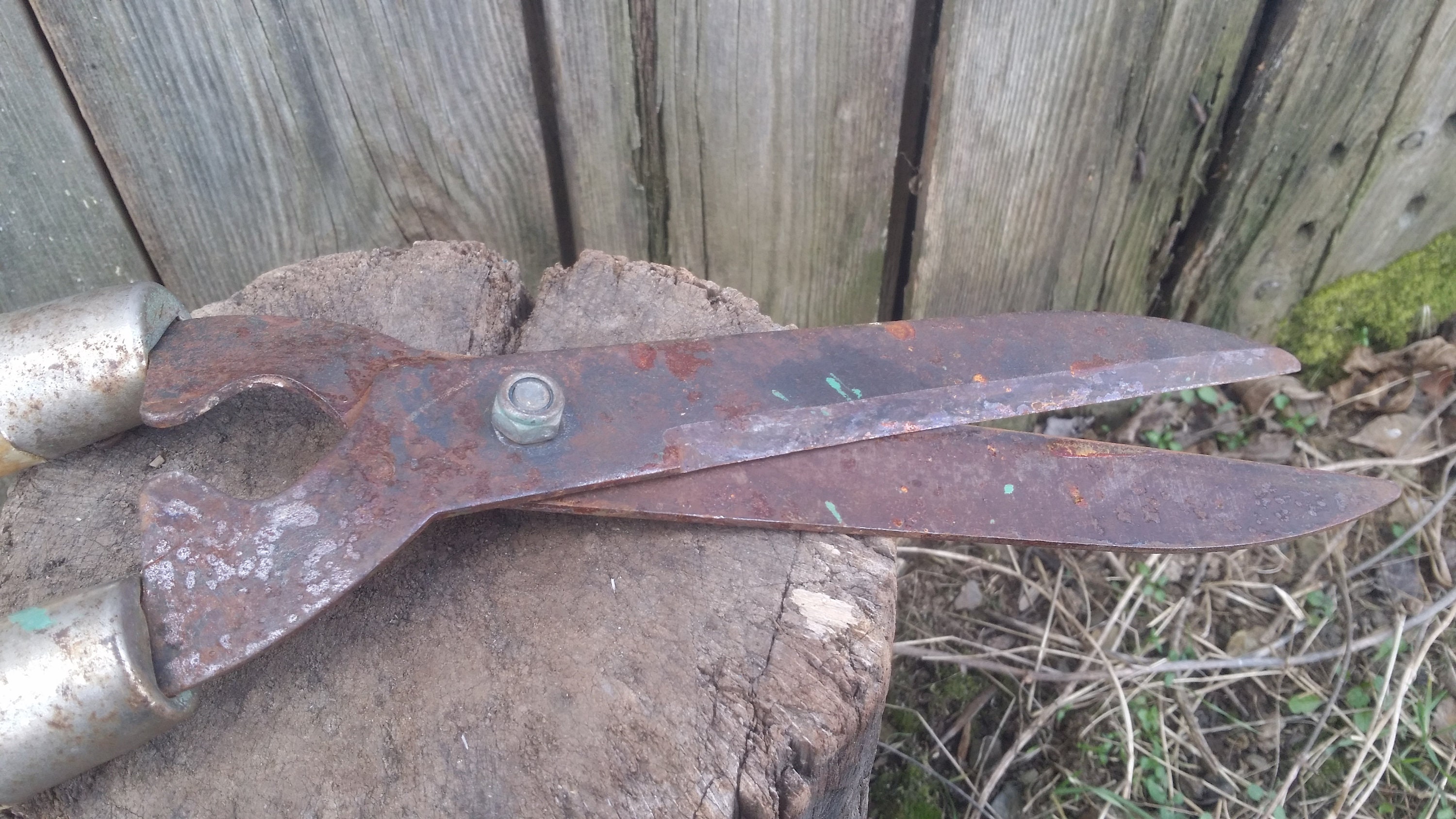 Rusty Garden Shears, Rustic Shears, Old Grass Clippers, Vintage