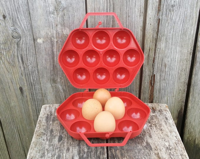 Vintage Plastic Egg Holder Brown Eggs Holder Egg Container Etsy