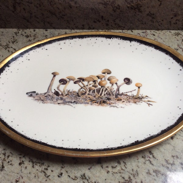 Vintage Studio Pottery Oval Serving Platter Decorated With Fungi