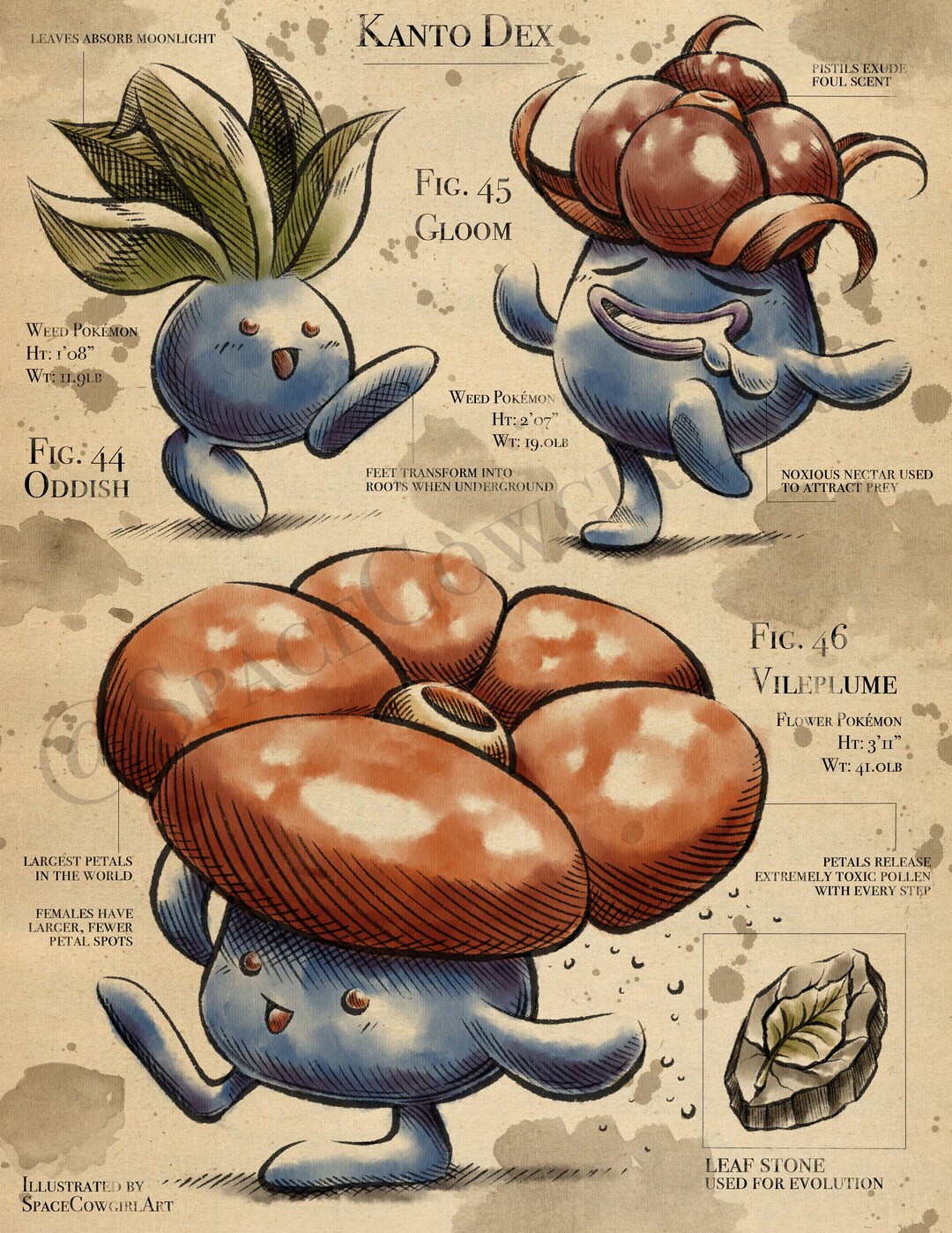 Pokémon: Oddish,Gloom,Vileplume e Bellossom