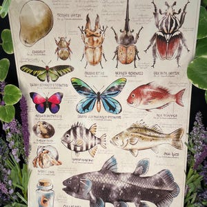 Impresión botánica en relieve de peces e insectos de Animal Crossing New Horizons