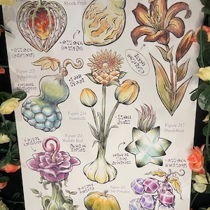 Hyrule Compendium Lacrime del Regno Respiro della Natura Stampa botanica in rilievo