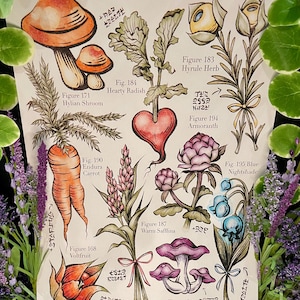 Hyrule Kompendium Breath of the Wild Tears of the Kingdom botanisch geprägter Druck