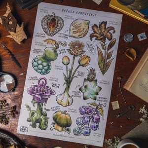 ハイラル大全 ティアーズ・オブ・ザ・キングダム ブレス・オブ・ザ・ワイルド エンボス加工 ボタニカルプリント