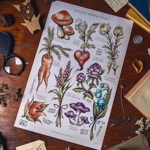 Hyrule Compendium Breath of the Wild Tears of the Kingdom Botanical Embossed Print