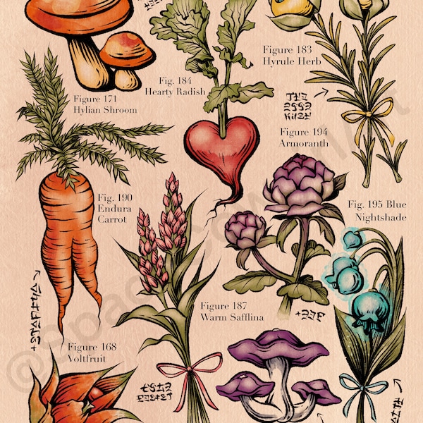 Hyrule Compendium Breath of the Wild Tears of the Kingdom Botanical Print
