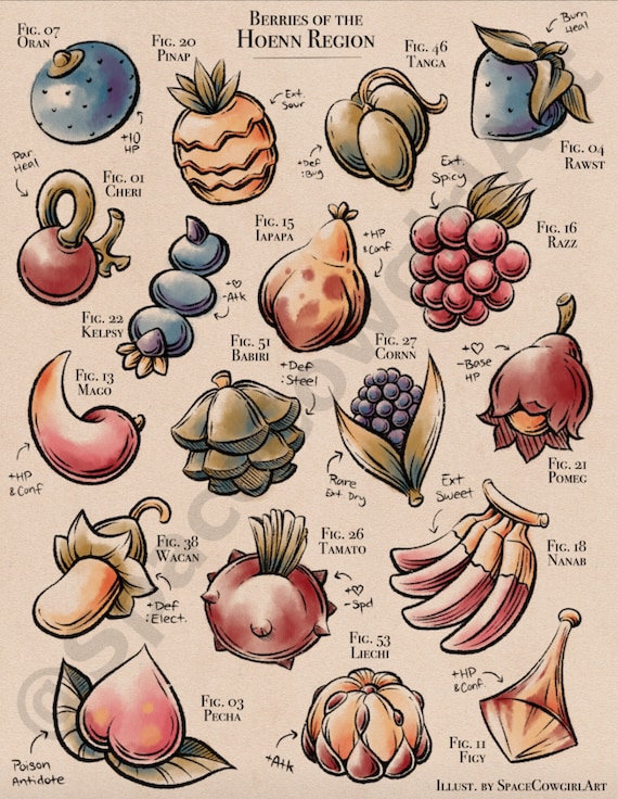 Pokemon Berries Hoenn Region Botanical Print Etsy