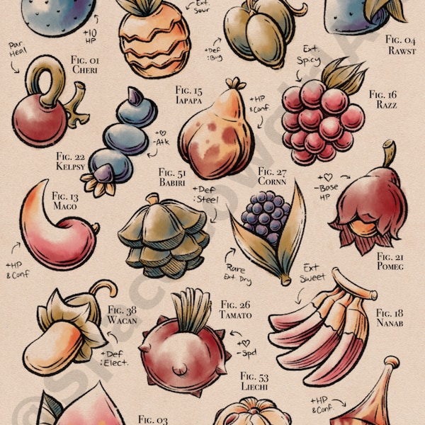 Pokemon Berries Hoenn Region Botanical Print