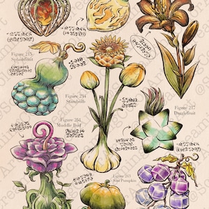 Hyrule Compendium Tears of the Kingdom Breath of the Wild Botanical Print