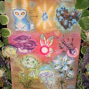 Hyrule Compendium Luminescent Tears of the Kingdom Breath of the Wild Botanischer Druck