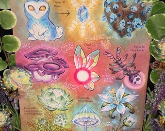 Hyrule Compendium Luminescence Tears of the Kingdom Breath of the Wild Botanical Print