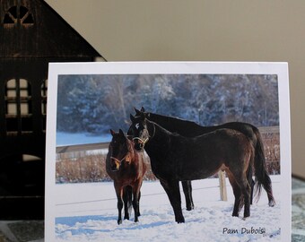 Horses (8) Photo Notecards, blank inside, of three horses in winter field, with envelopes,  original photography, standard size 4.25 x 5.5