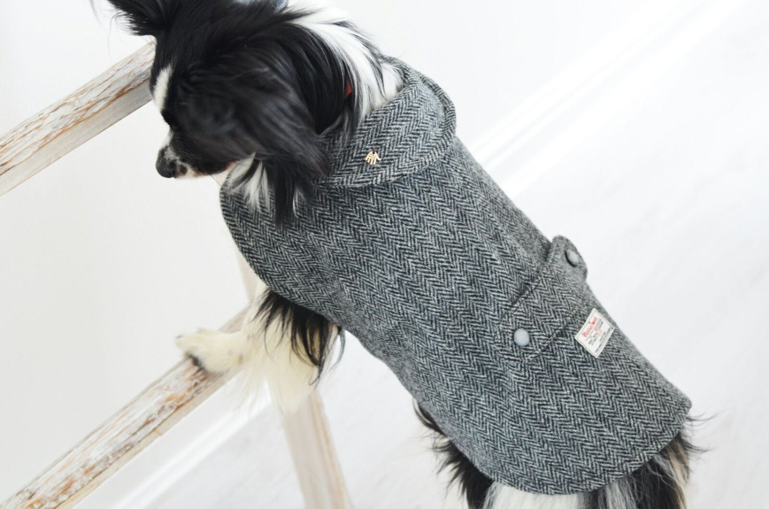 Genuine Harris Tweed Coats for Dogs High Quality Warm Cozy Etsy