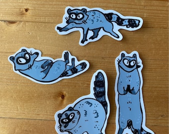 A Bunch of Raccoon Vinyl Stickers