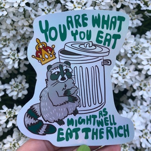 Eat The Rich Raccoon Vinyl Sticker, Waterproof