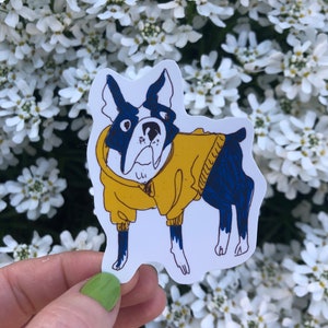 Boston Terrier Hoodie, Vinyl-Aufkleber