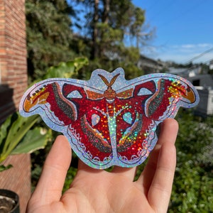 Vinylsticker Atlas Moth, waterdicht