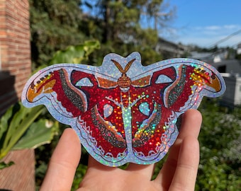 Atlas Moth Vinyl Sticker, Waterproof